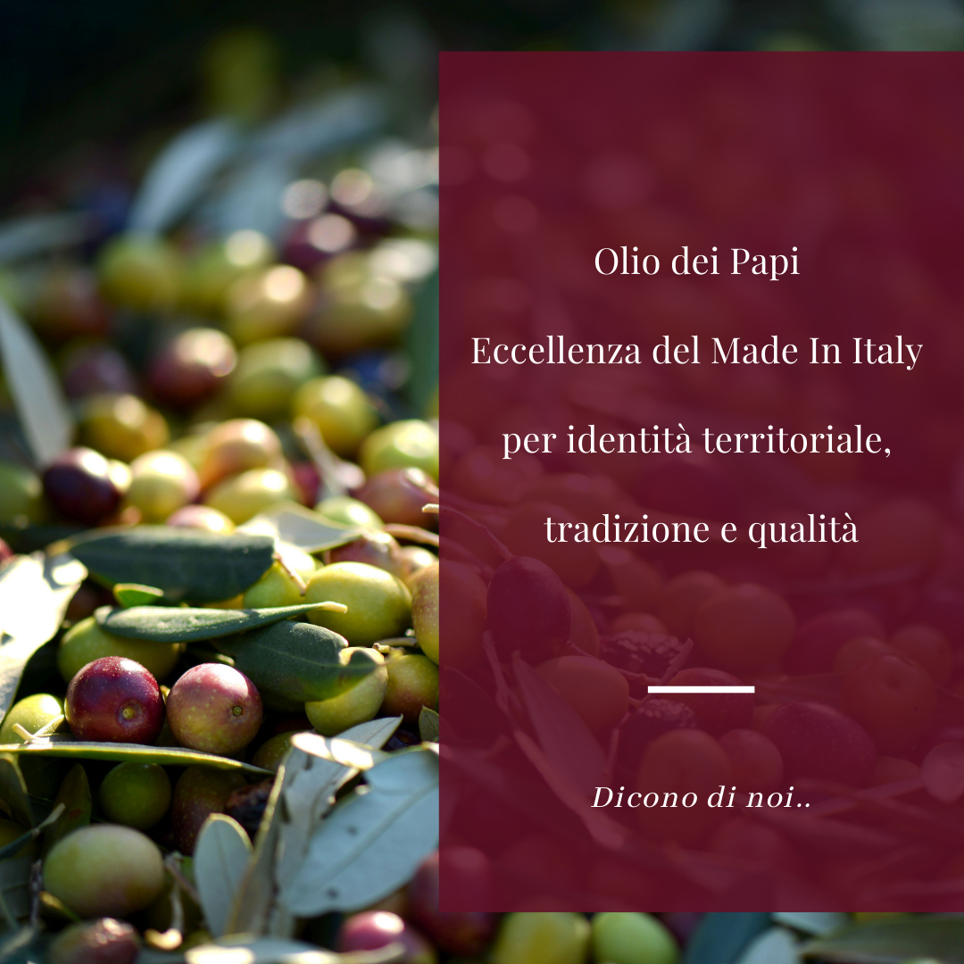 Olio extra vergine di oliva qualità e tradizione dalla Roma papale ai giorni nostri